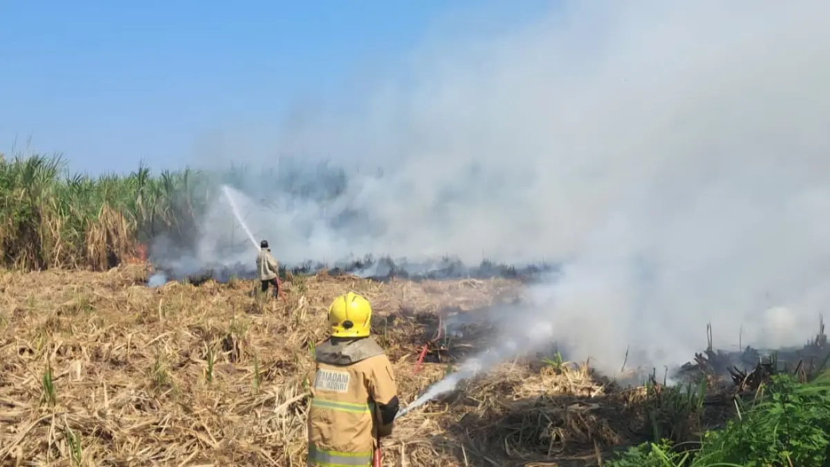 Petugas saat melakukan pemadaman kebakaran