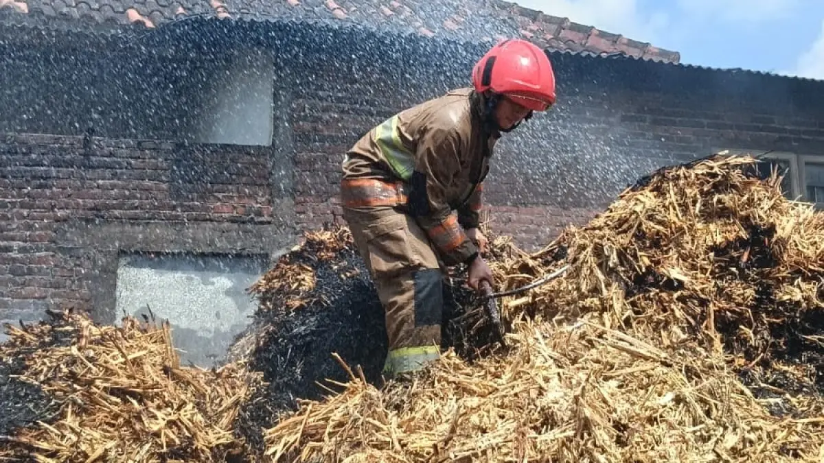 Petugas sedang memadamkan api yang membakar tumpukan sepah tebu di pabrik gula jawa. (Foto Damkar Kabupaten Kediri)