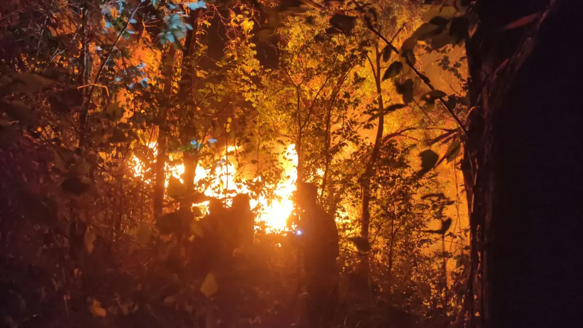 Kebakaran melanda kawasan Gunung Klotok Kediri.