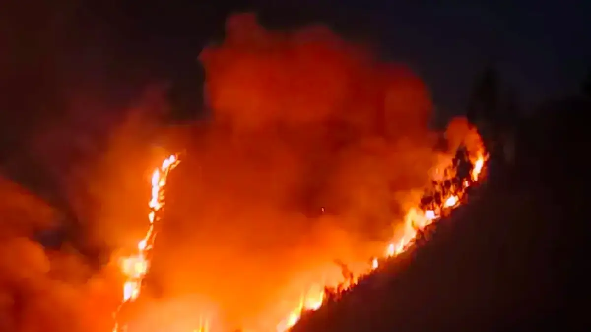 Kawasan gunung Bromo kebakaran (Dok radar Bromo)