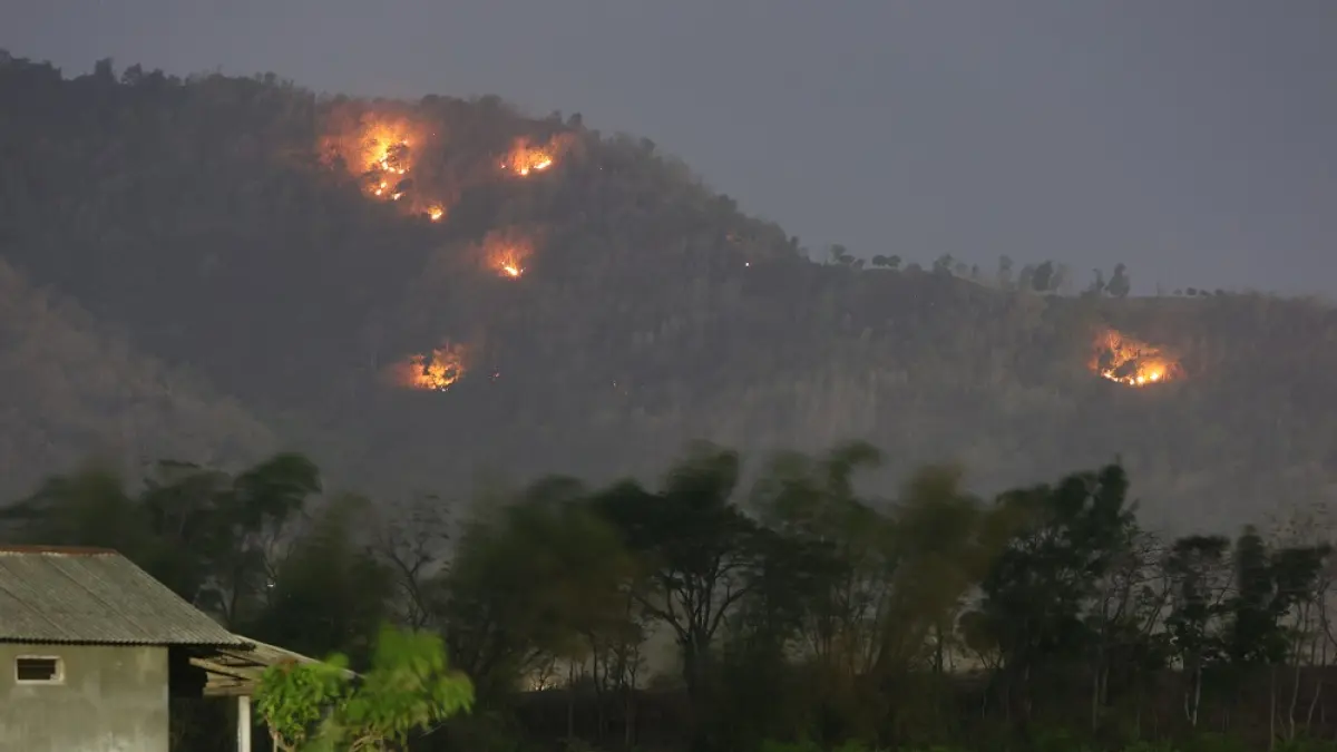 Kondisi lereng Klotok Kediri yang terbakar pada Sabtu (8/8) lalu. (Foto Wahyu Adji)