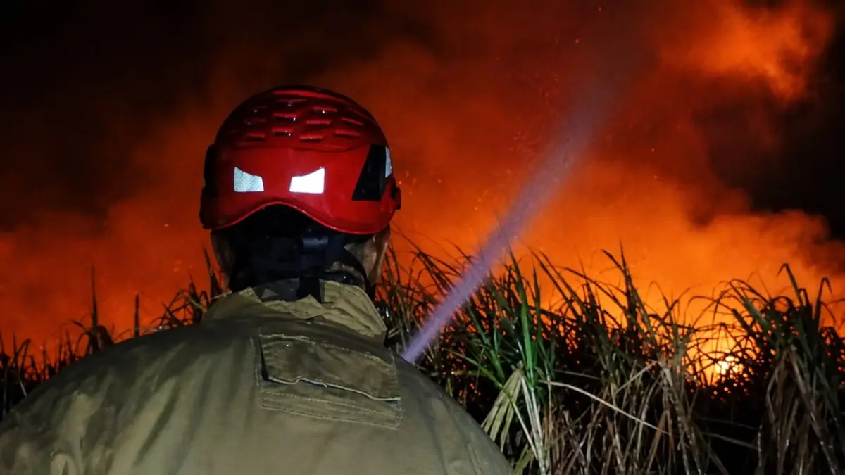 Petugas damkar saat lakukan pemadaman lahan HGU di Ngancar. (Foto Damkar Kabupaten Kediri)