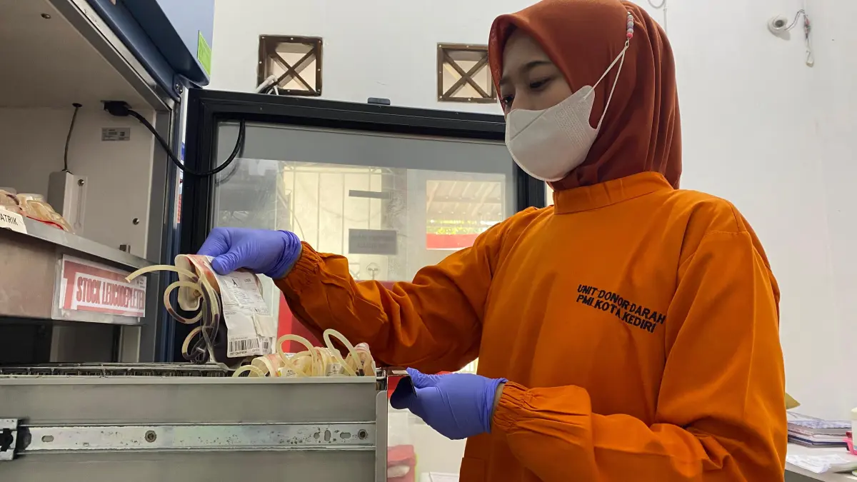 

MENIPIS: Petugas PMI Kota Kediri memeriksa stok darah yang tersedia. Golongan darah A dan O jumlahnya mulai menipis. (HILDA NURMALA RISANI/JPRK)
