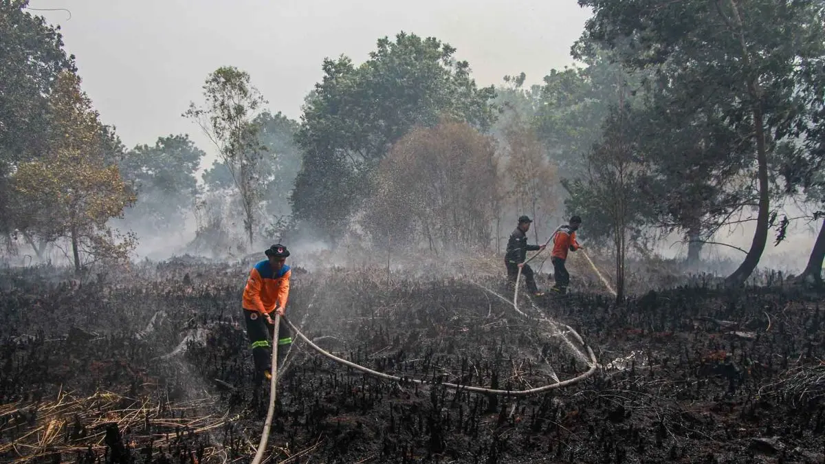 Petugas memadamkan sisa api yang membakar lahan gambut di Kelurahan Kameloh Baru, Palangka Raya, Kalimantan Tengah, Rabu (29/7/2026). (ANTARA/Auliya Rahman/nym)