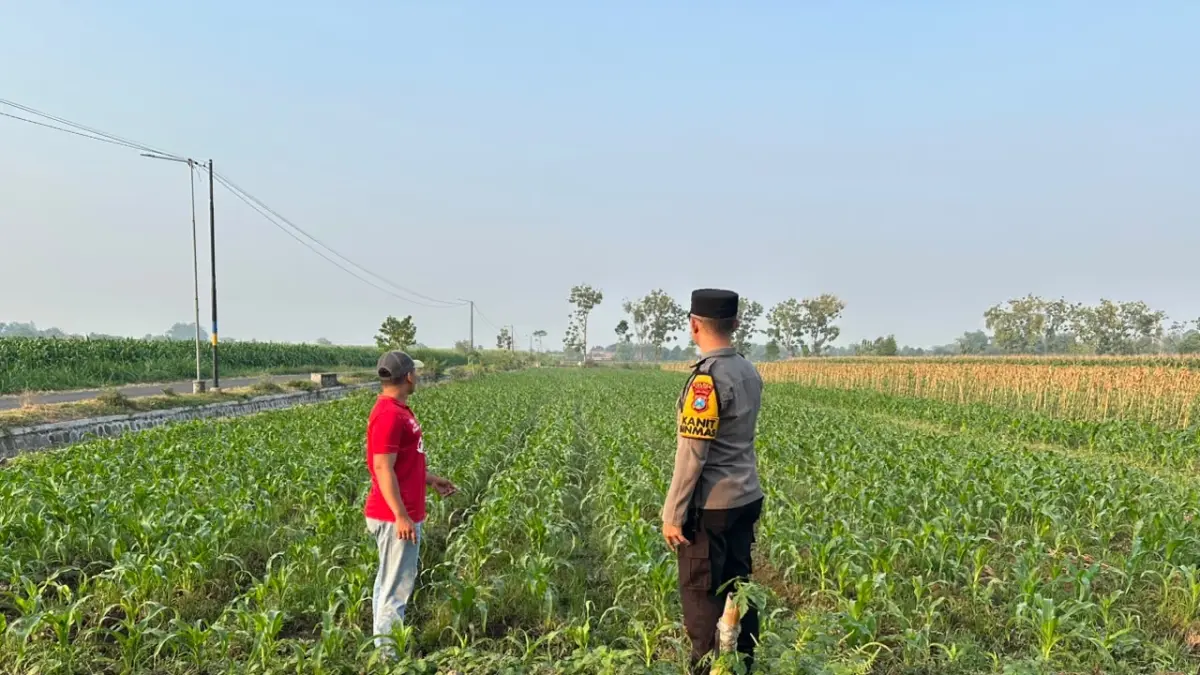 Petugas saat berdialog dengan petani. 