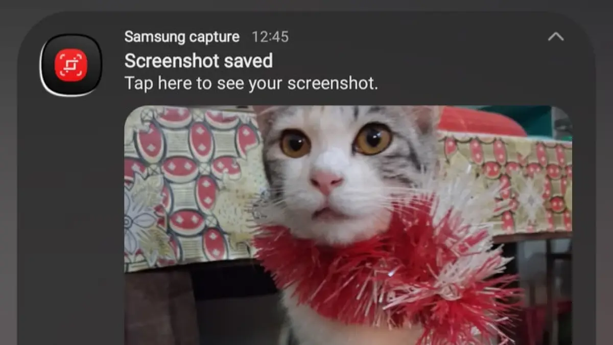 notifikasi screenshot di ponsel (pinterest)