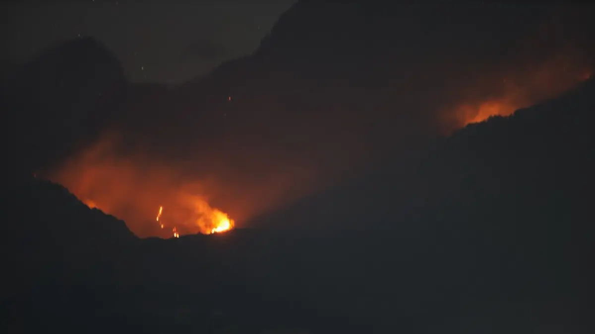 Kobaran api di lereng Gunung Wilis. 