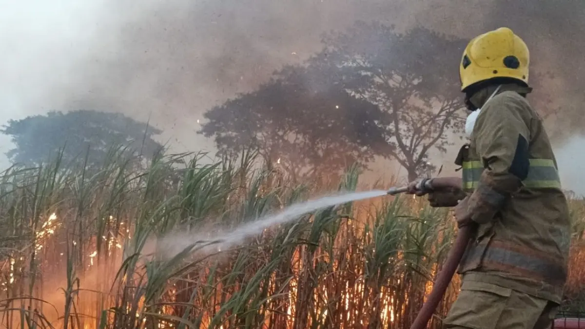 Petugas sedang berjibaku dengan api. (Foto Damkar Kabupaten Kediri)