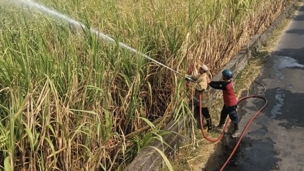 Damkar saat melakukan penanganan. (Foto Damkar Kabupaten Kediri)
