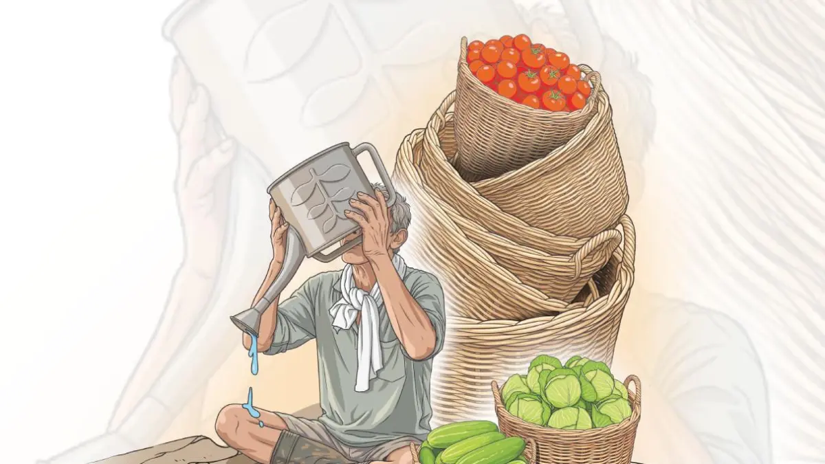 Ilustrasi dampak kekeringan di sektor pertanian (Ilustrator: Afrizal)