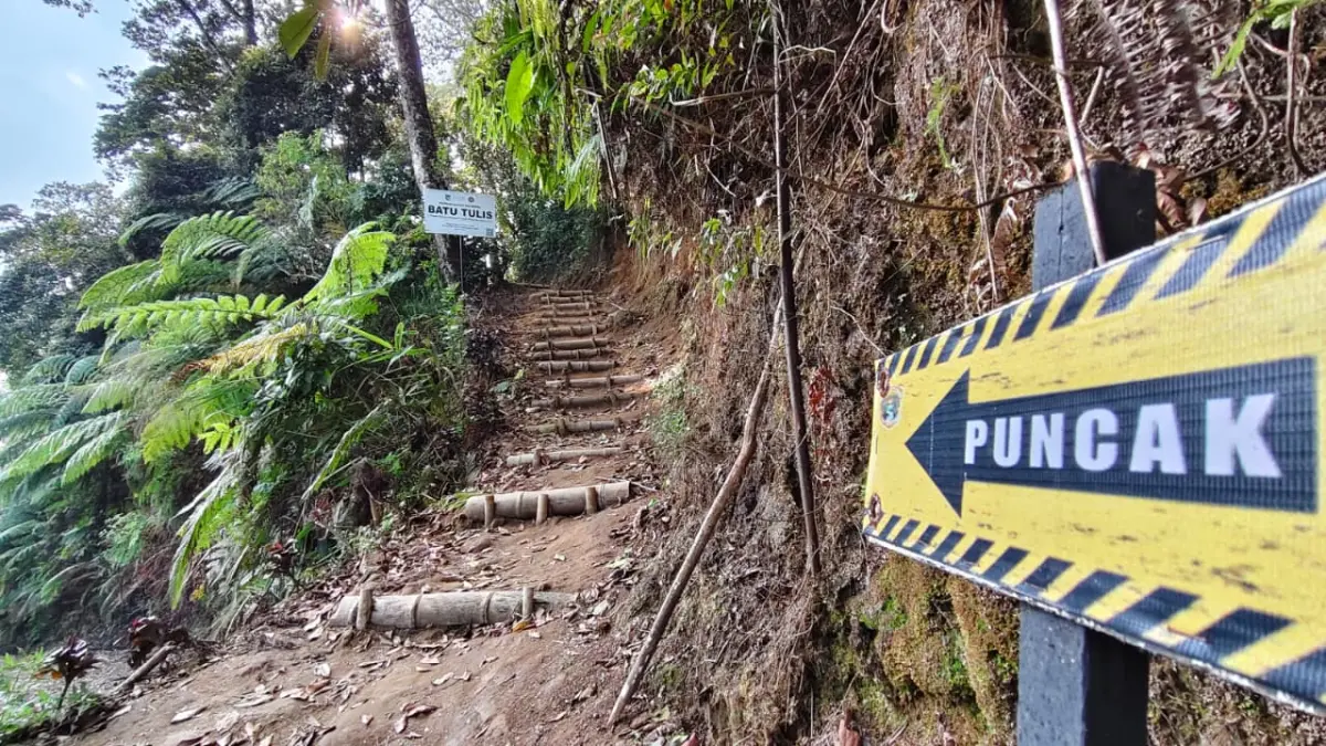 Jalur Pendakian Tembelang. (Foto Asad MS)