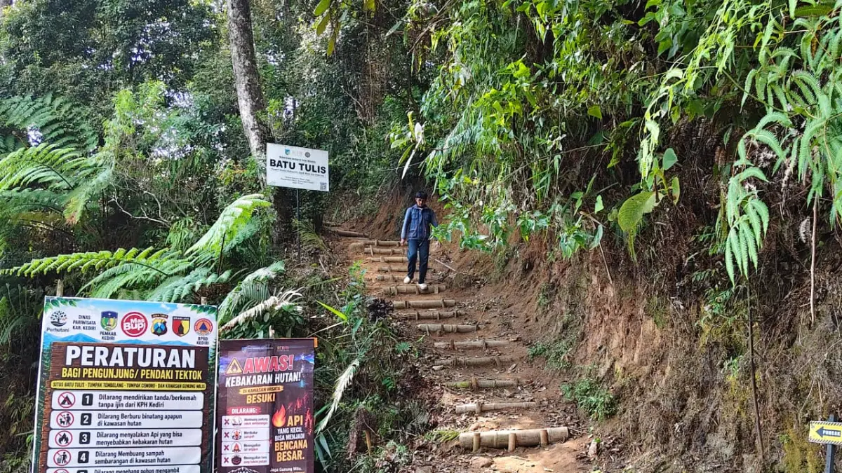 Jalur pendakian Tembelang-Batu Tulis, Gunung Wilis Kediri. (Foto Asad MS)