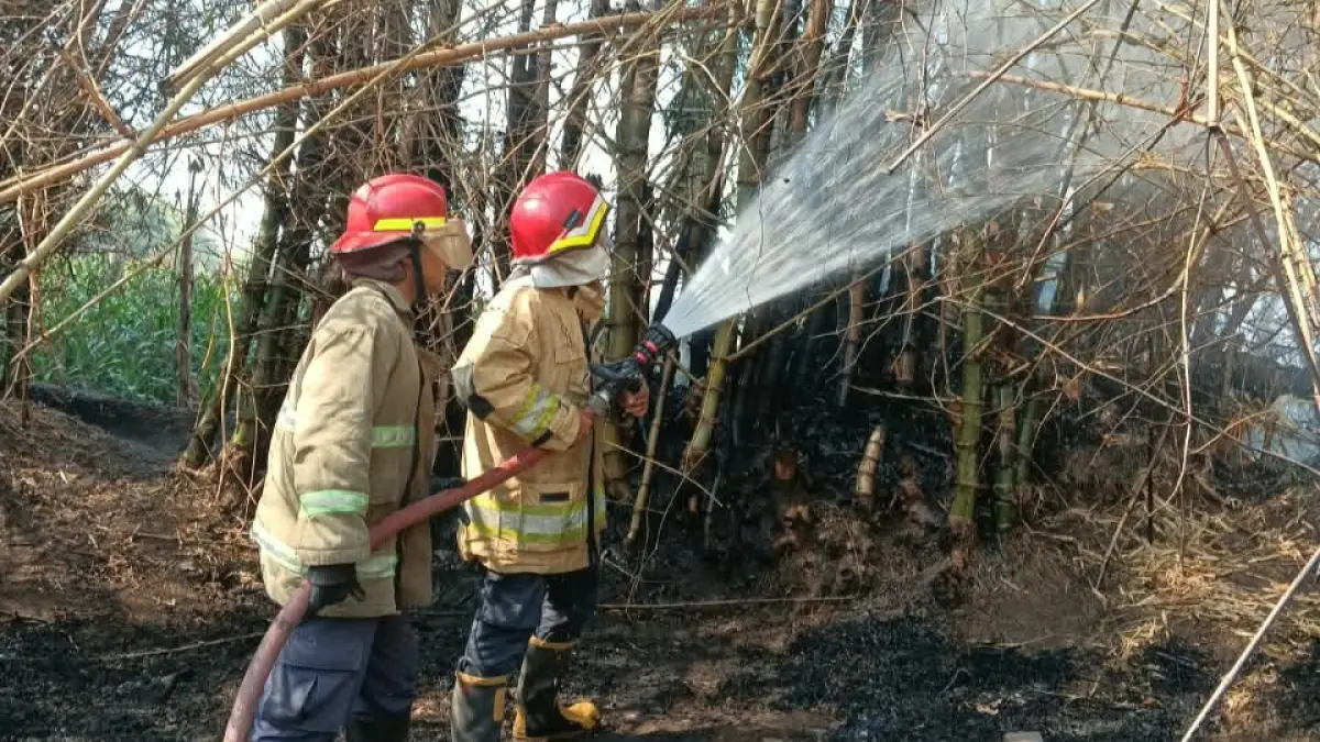 Petugas lakukan pemadaman rumpun bambu di Kecamatan Grogol