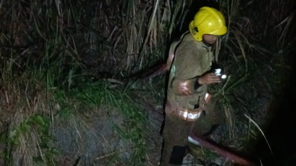 Petugas melakukan pemadaman di lahan tebu Kecamatan Ringinrejo