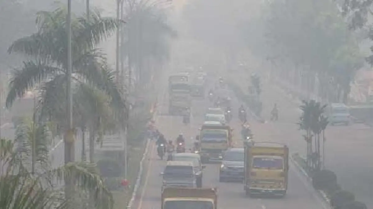 kabut asap menghalangi pendangan di jalan