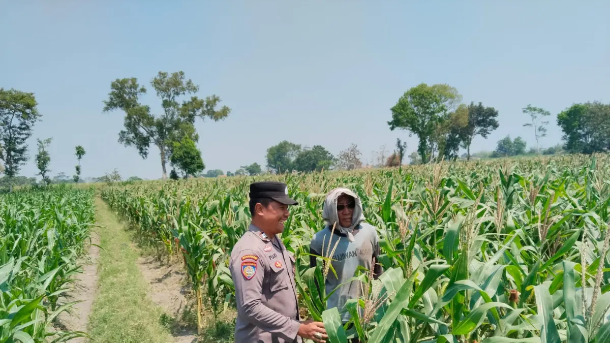 Polisi saat lakukan pendampingan dengan petani. (Foto Polsek)