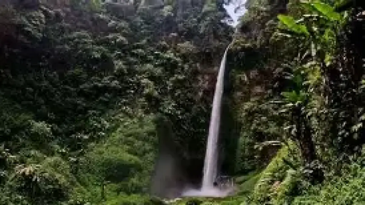 source:pegibromo.com