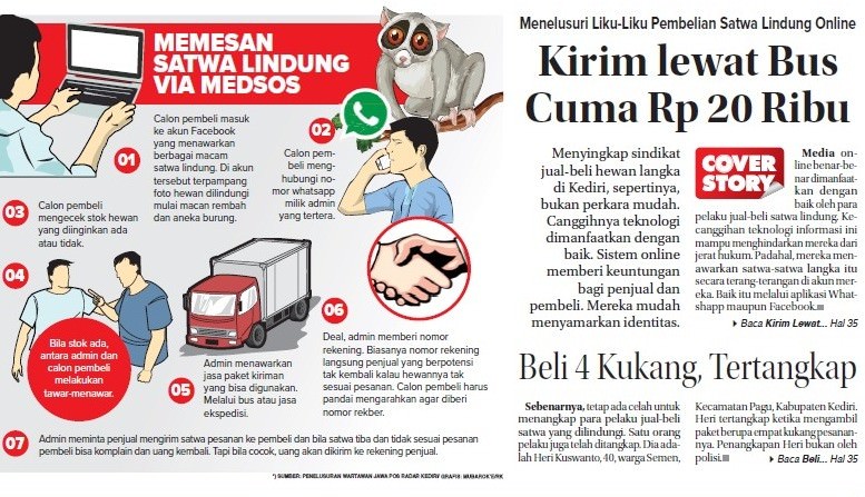 liku-liku-jual-beli-satwa-lindung-via-online