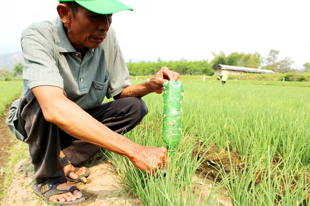 buru-botol-bekas-petani-borong-dari-tukang-rosok