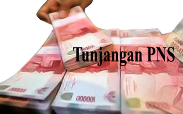 tenaga-fungsional-tak-dapatkan-tpp
