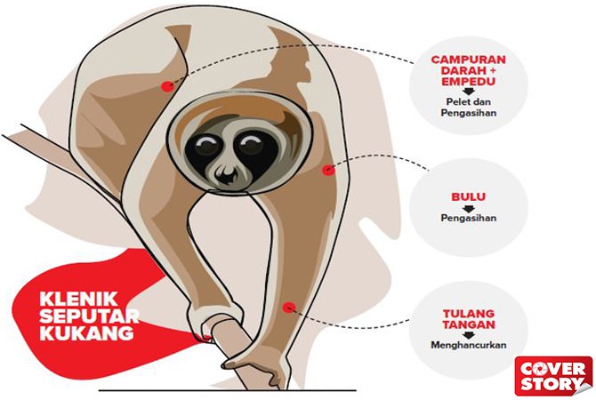 darahnya-bisa-untuk-pelet