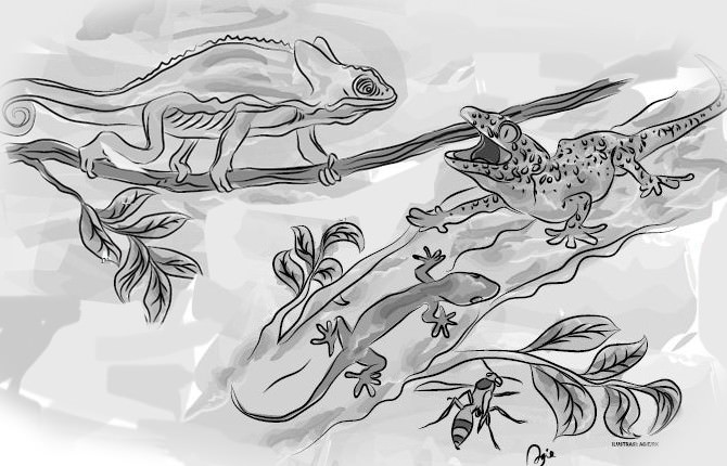 binatang-binatang-kecil-yang-membawa-hanif-masuk-surga