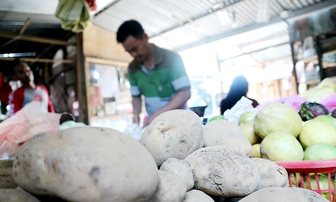 harga-terus-turun-hingga-rp-4500-per-kilogram