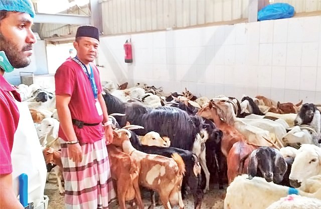 batuk-pilek-mulai-menyerang