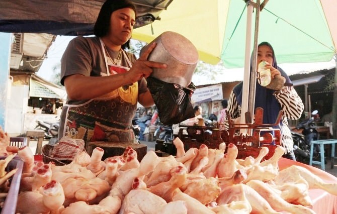daging-ayam-makin-mahal
