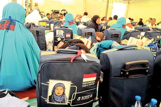 rp-18-juta-untuk-kurban-unta