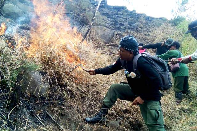 cegah-kebakaran-wilis-meluas-tim-perhutani-buat-ilaran