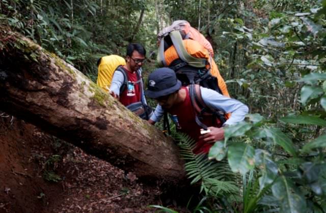 catatan-ekspedisi-wilis-i-mengupas-sejarah-kuno-si-gunung-cantik-6