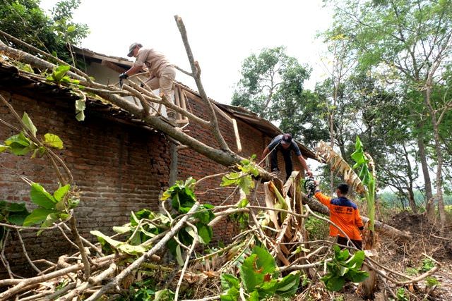 efek-angin-ribut-paling-parah-di-balongjeruk-kunjang