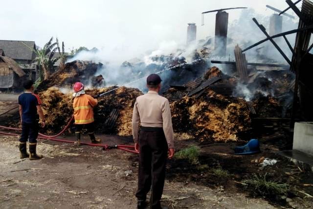 korsleting-listrik-ampas-tebu-terbakar