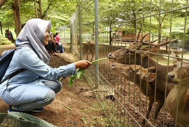 catatan-ekspedisi-wilis-i-kuliner-khas-warga-pegunungan-2