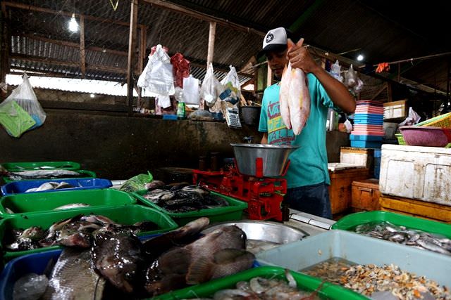 harga-ikan-kakap-dan-tenggiri-naik