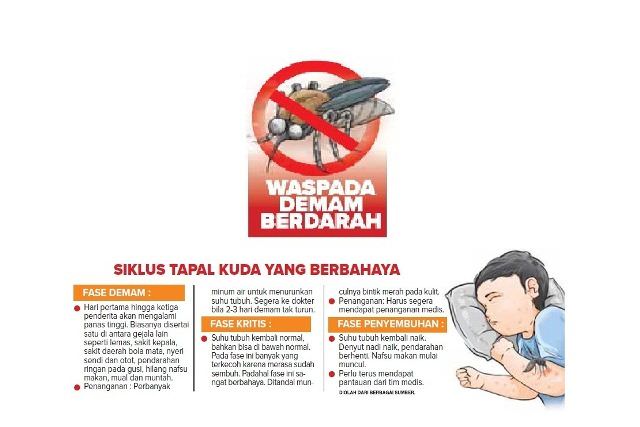 kena-demam-berdarah-anak-kelas-5-sd-meninggal