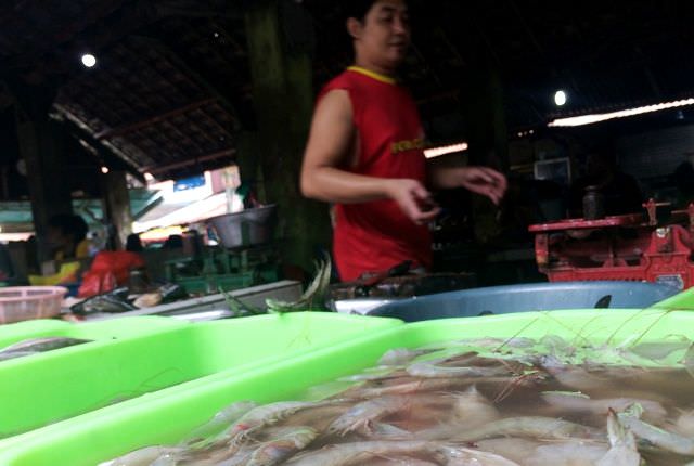 jelang-panen-tambak-harga-udang-turun