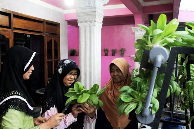 miftahus-surrur-perkumpulan-para-janda-di-desa-turus