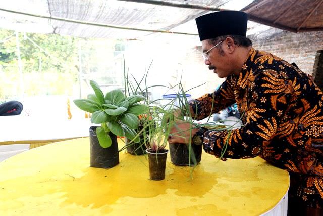 nurul-mustain-pilih-pensiun-dini-dari-pt-pal-demi-geluti-hidroponik