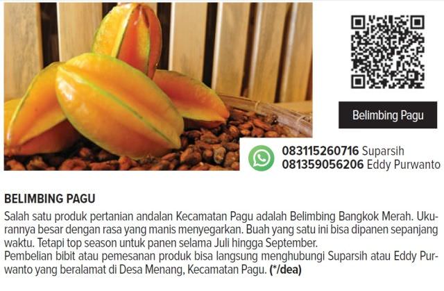 belimbing-pagu