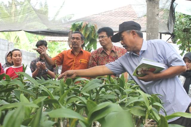 bringin-jadi-pusat