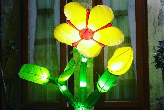 pilihan-cantik-lampion-karakter-dan-bunga
