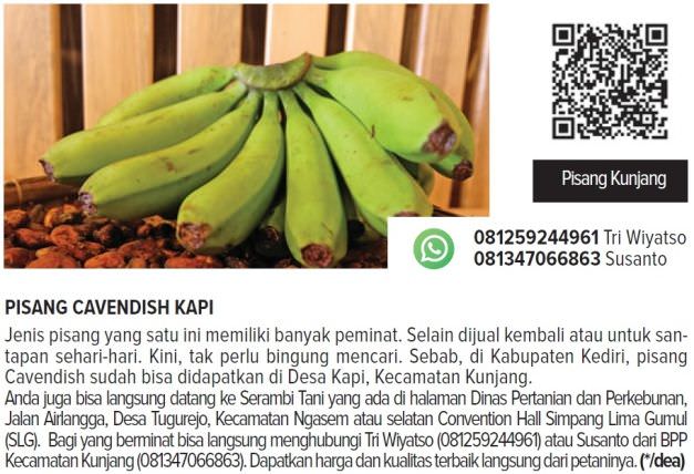 pisang-cavendish-kapi