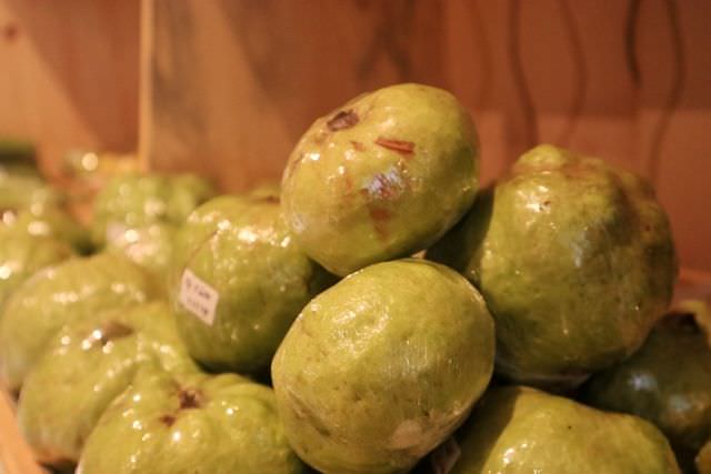 jambu-kristal-mangunrejo