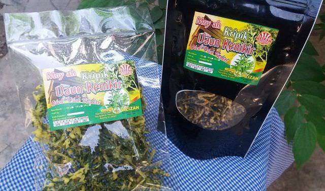 keripik-daun-kenikir-moy-ah