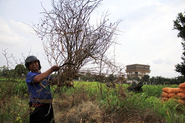 kolaborasi-untuk-hadang-kemarau-panjang