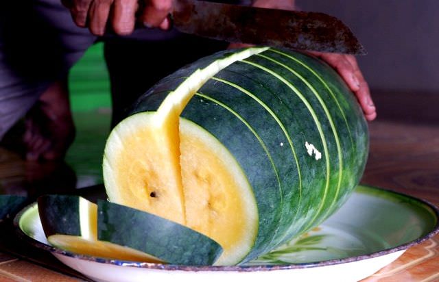 mengenal-semangka-inul