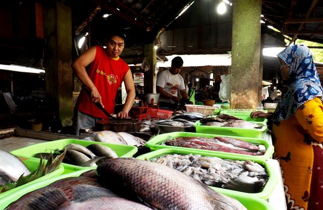 permintaan-ikan-tinggi-stok-mencukupi