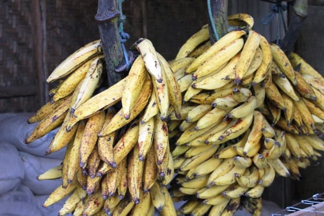 pisang-candi-sukomoro